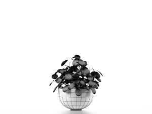 plants indoor 3D Model