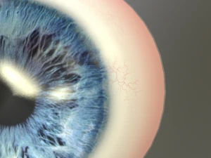 глаз - характер 3D Модель