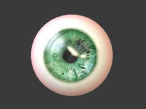 eye - character 3D Model