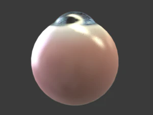 eye - character 3D Model