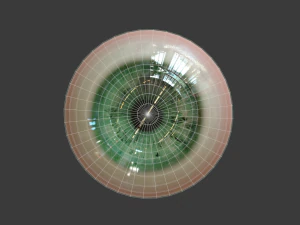 eye - character 3D Model