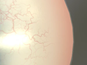 eye - character 3D Model