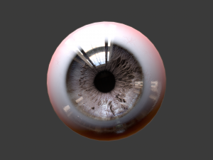 eye - character 3D Модель