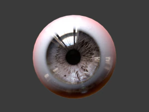 eye - character 3D Model