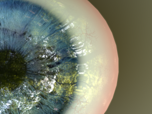 eye - character 3D Модель