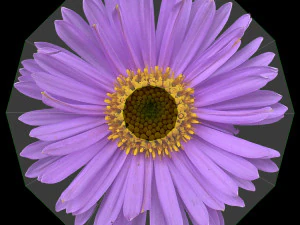 Токійський магазин 3D Модель