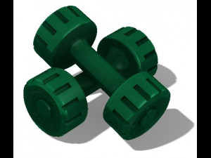 dumbbells 3kg- 66 lb 3D 모델