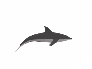 dolphin low poly 3Dモデル