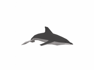 dolphin low poly 3Dモデル