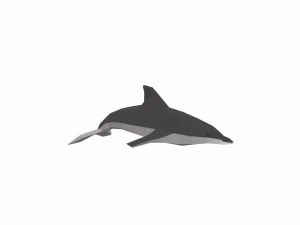 dolphin low poly 3D Model