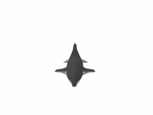 dolphin low poly 3D Model