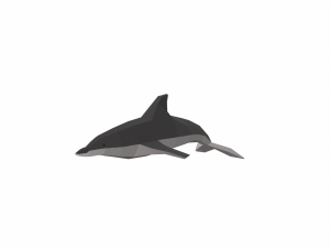 dolphin low poly 3Dモデル