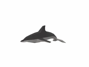 dolphin low poly 3D Model