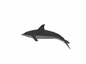 dolphin low poly 3D Model