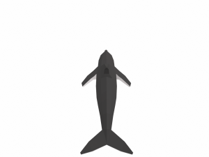 dolphin low poly 3Dモデル
