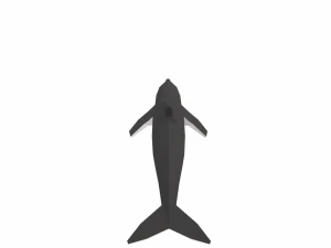 dolphin low poly 3D Model