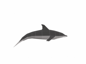 dolphin low poly 3Dモデル