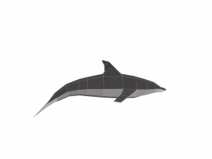 dolphin low poly 3D Model