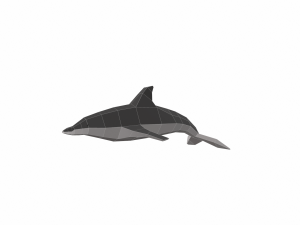 dolphin low poly 3Dモデル