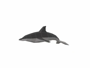 dolphin low poly 3D Model