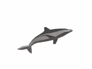 dolphin low poly 3D Model