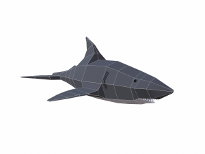 shark cartoon 3D Модель