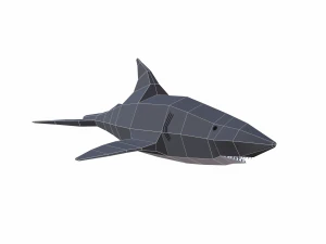 shark cartoon 3D Model
