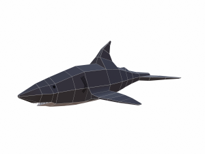 shark cartoon 3D Модель