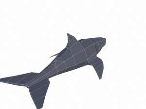 shark cartoon 3D Модель