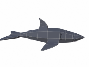shark cartoon 3D Модель
