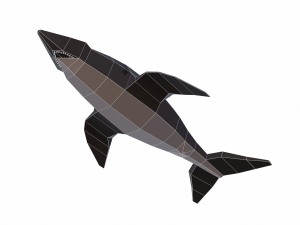 shark cartoon 3D Модель