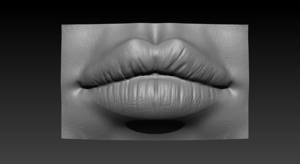 female lip 3D Print Model .c4d .max .obj .3ds .fbx .stl .blend 