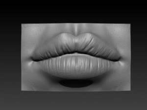 female lip 3D Принт Модель