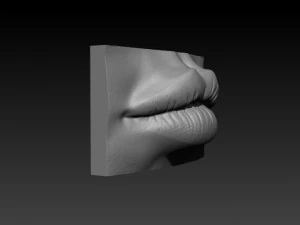 female lip 3D Print Model