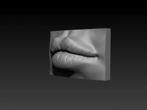 female lip 3D Print Model