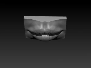 female lip 3D Print Model