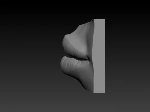 female lip 3D Print Model