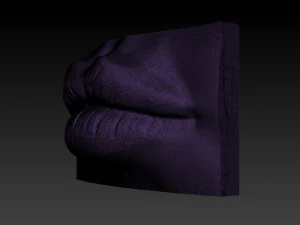 female lip 3D Print Model