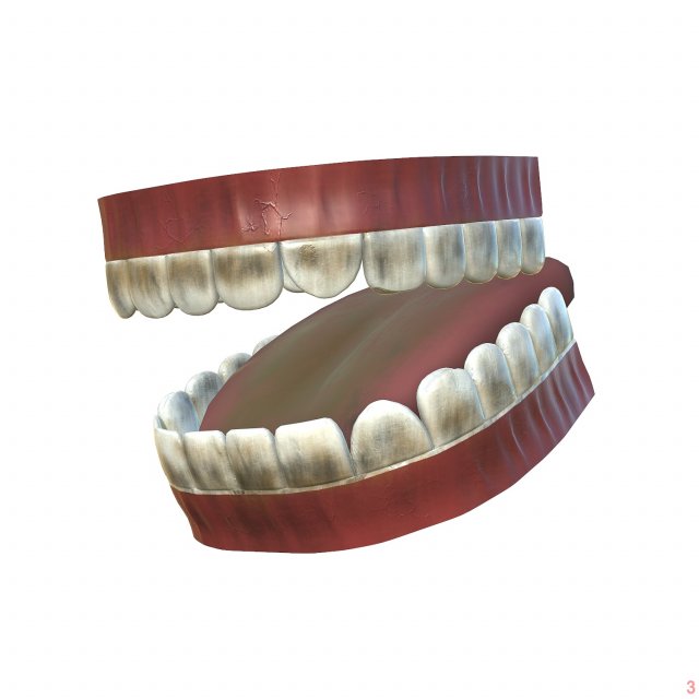 teeth - mouth interior Model 3D .c4d .max .obj .3ds .fbx .stl .blend 