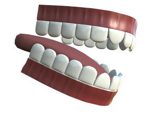 teeth - mouth interior Model 3D
