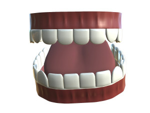teeth - mouth interior Model 3D