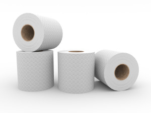 toilet paper 3D Model