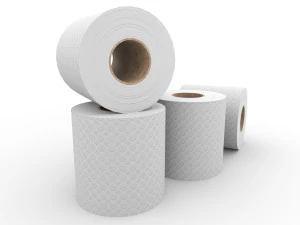 toilet paper 3D Model
