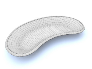 kidney basin 3D Model