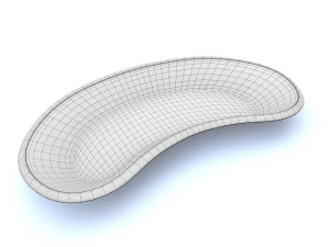 kidney basin 3D Model