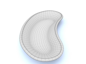 kidney basin 3D Model