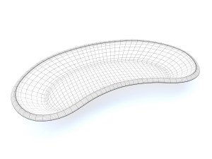 kidney basin 3D Model