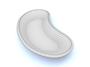 kidney basin 3D Model