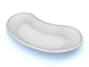 kidney basin 3D Model
