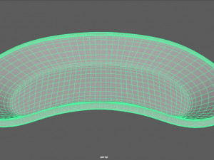 kidney basin 3D Model
